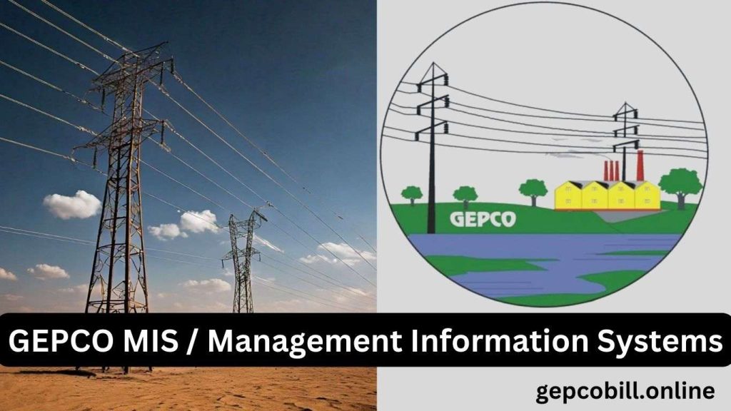 Unlocking the Potential of Gepco MIS